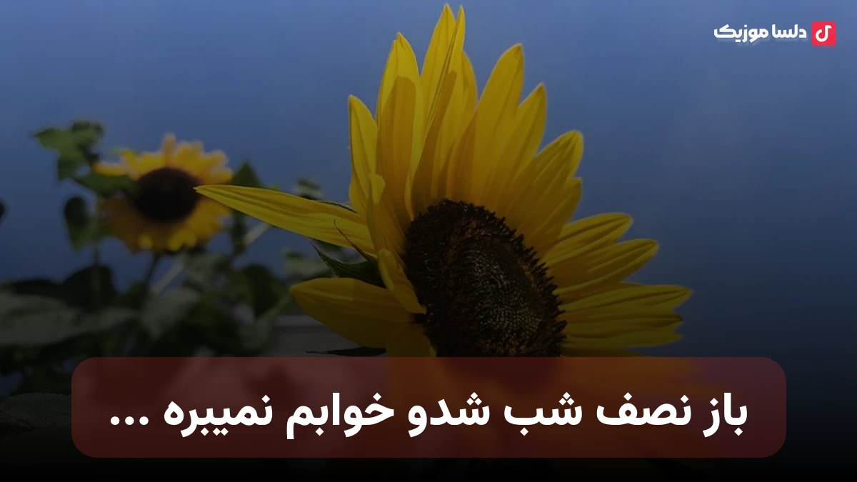 باز نصف شب شدو خوابم نمیبره فردارو نمیخوام چون امروز بهتره زن